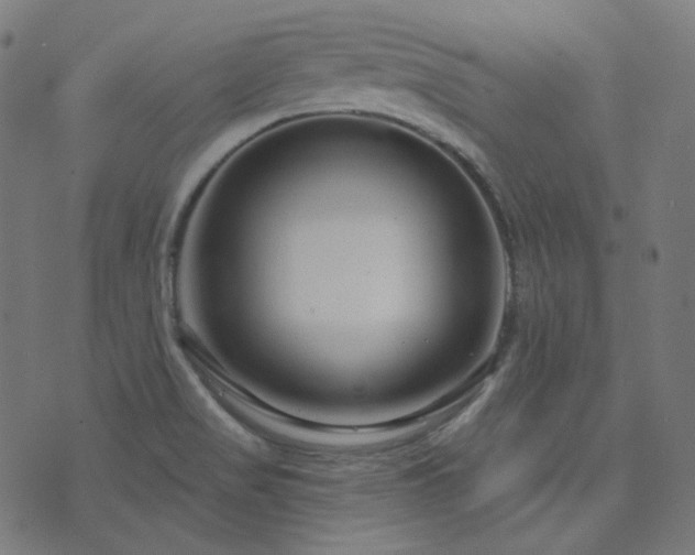 X0000076441517200610061244