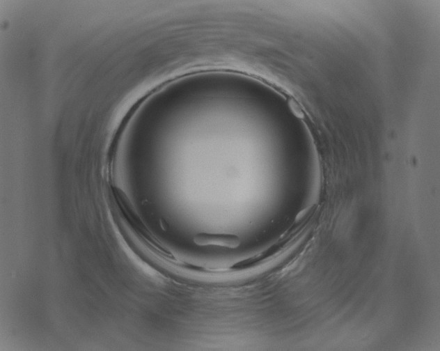 X0000076441519200610061244