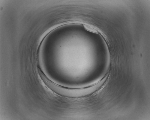 X0000076441534200610061245