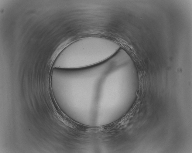 X0000076440051200610161256
