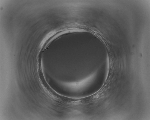 X0000076440054200610161256