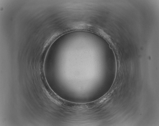 X0000076440106200610161256