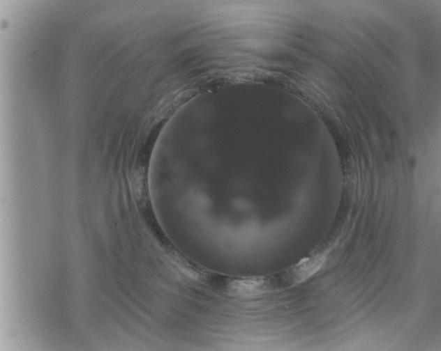 X0000076440139200610161256