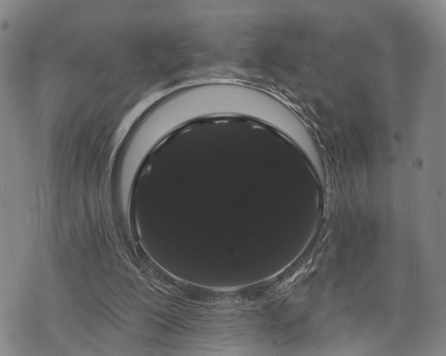 X0000076440200200610161255