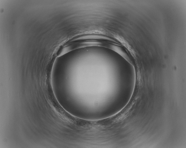 X0000076440201200610161255