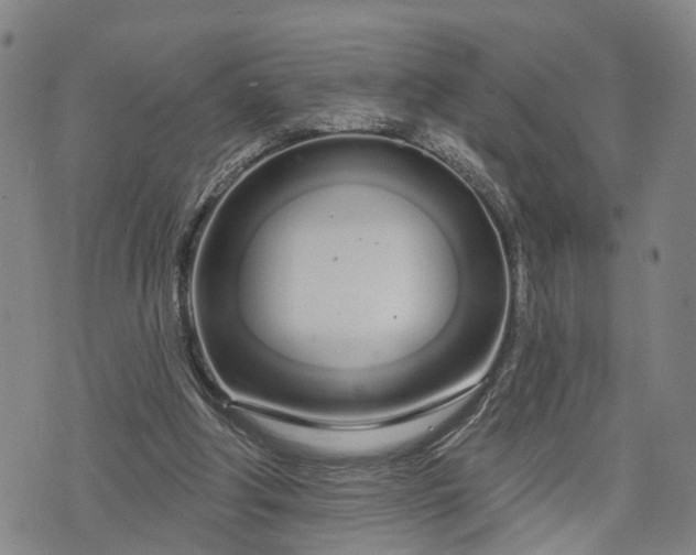 X0000076440202200610161255
