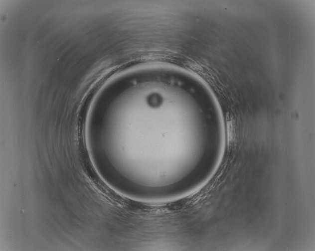 X0000076440243200610161253