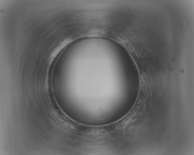 X0000076440292200610161253
