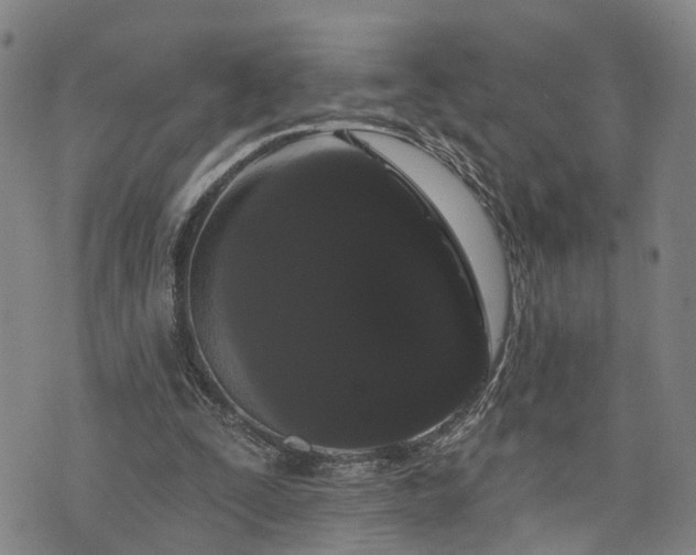 X0000076440295200610161253