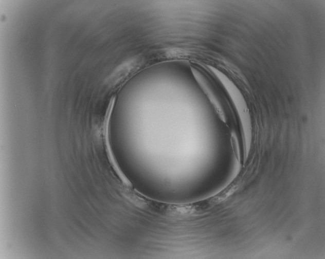 X0000076440329200610161253