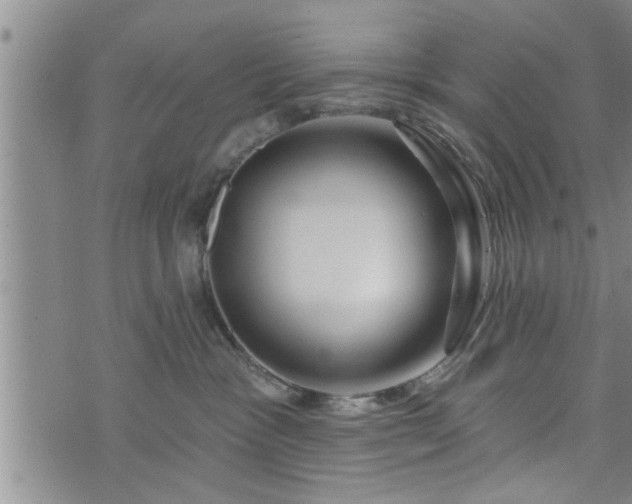 X0000076440333200610161252