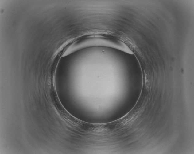 X0000076440348200610161252