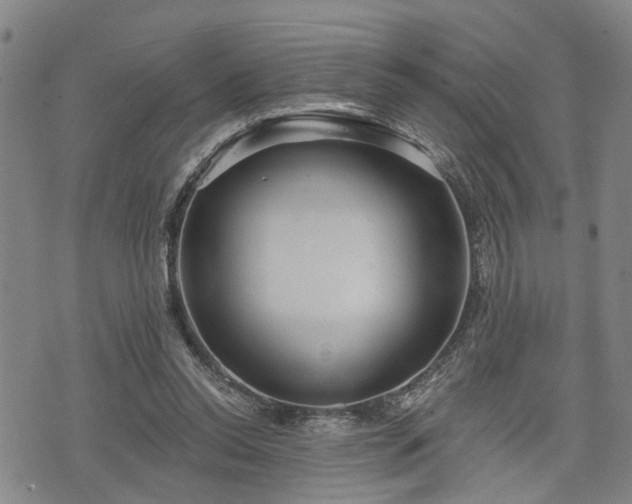 X0000076440350200610161252