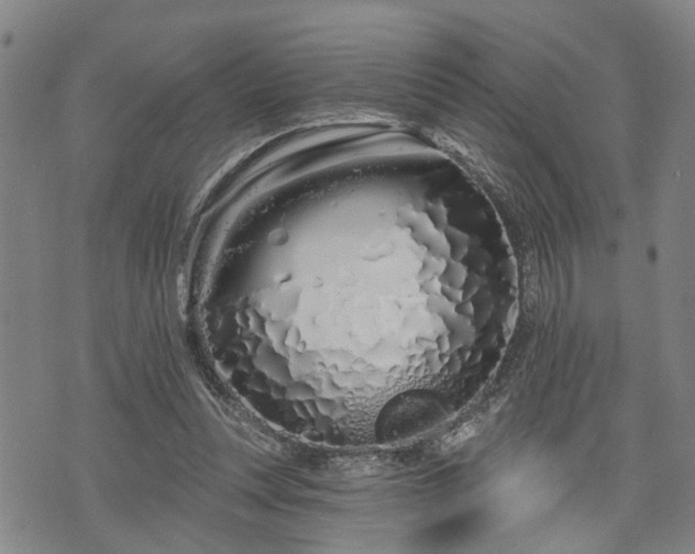 X0000076440351200610161252