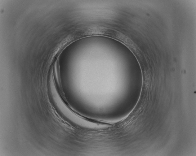 X0000076440386200610161252