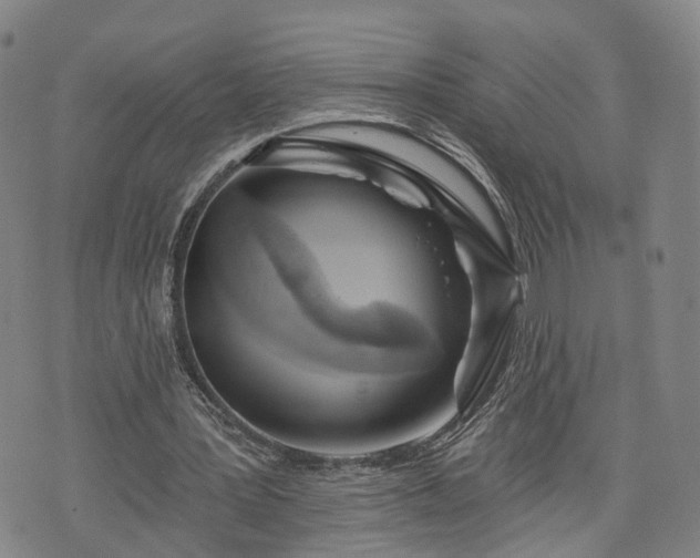 X0000076440387200610161252