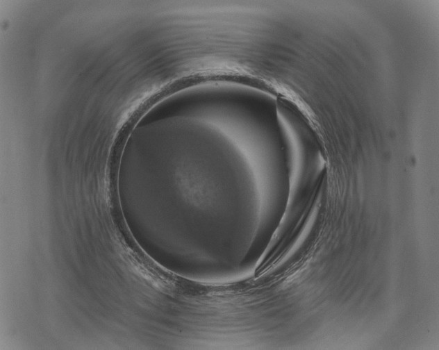 X0000076440391200610161251