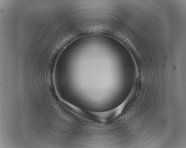 X0000076440403200610161251
