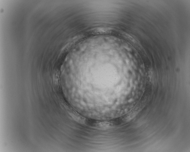 X0000076440423200610161251