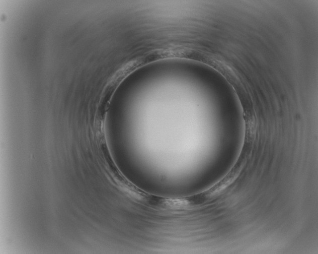 X0000076440429200610161251