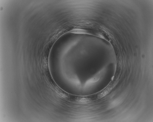 X0000076440467200610161251