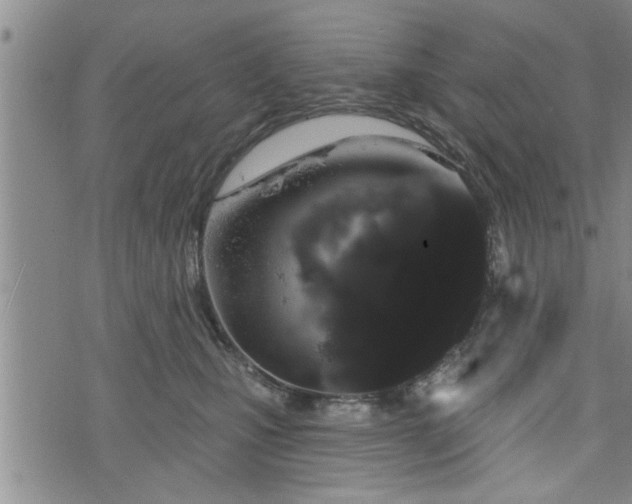 X0000076440471200610161251