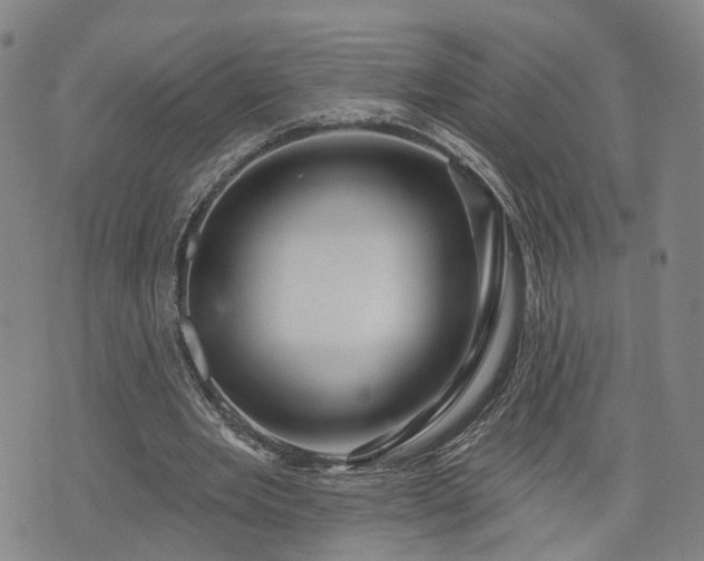 X0000076440485200610161250