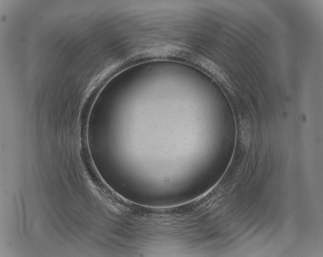 X0000076440486200610161250