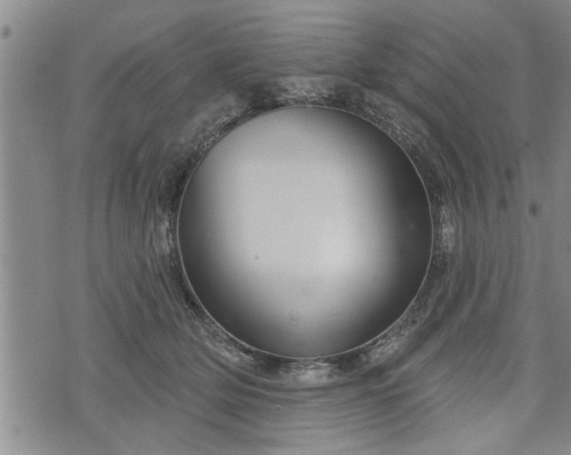 X0000076440514200610161249