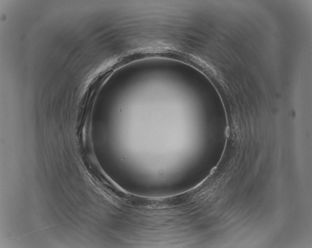 X0000076440535200610161249