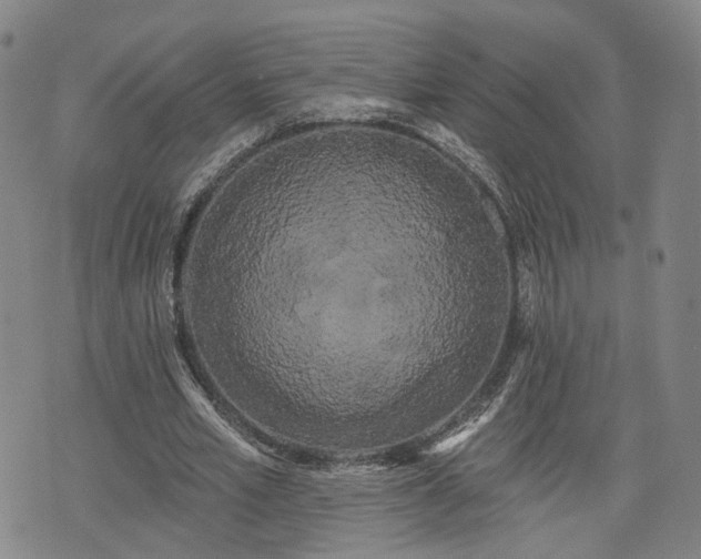 X0000076440581200610161248