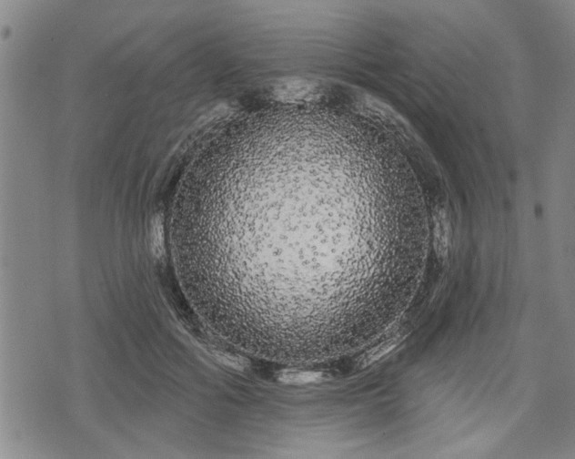 X0000076440602200610161248