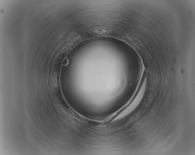 X0000076440606200610161248