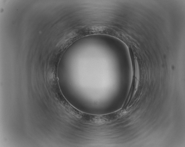 X0000076440608200610161248