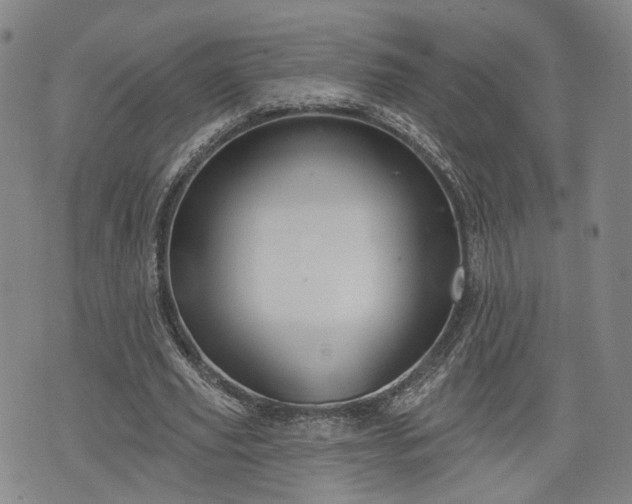 X0000076440629200610161247