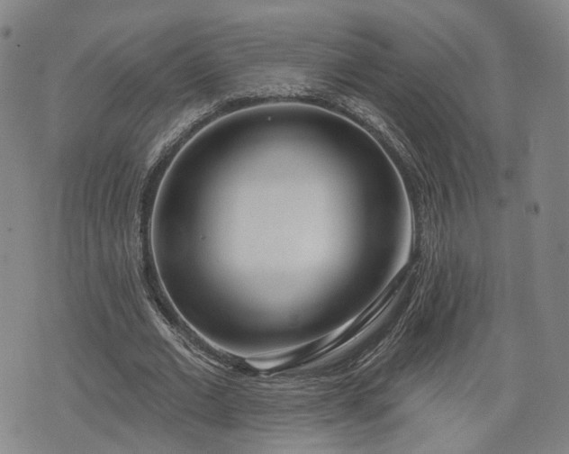X0000076440677200610161247