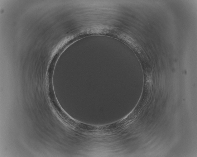 X0000076440678200610161247
