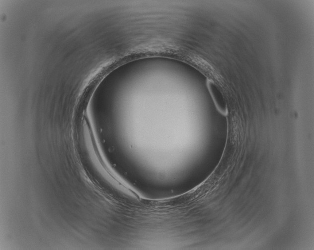 X0000076440680200610161247