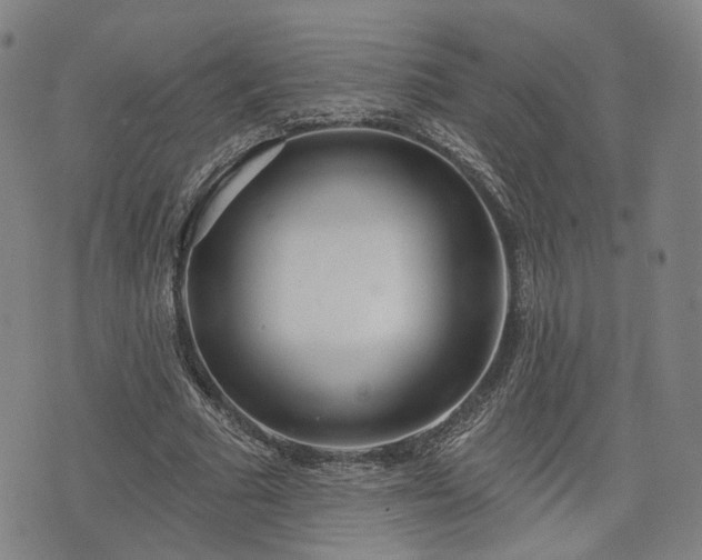 X0000076440681200610161247