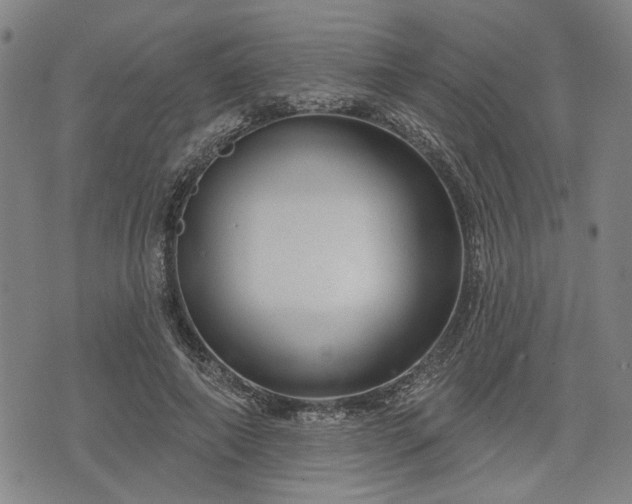 X0000076440690200610161247