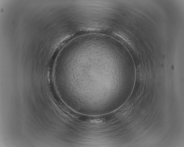 X0000076440692200610161247