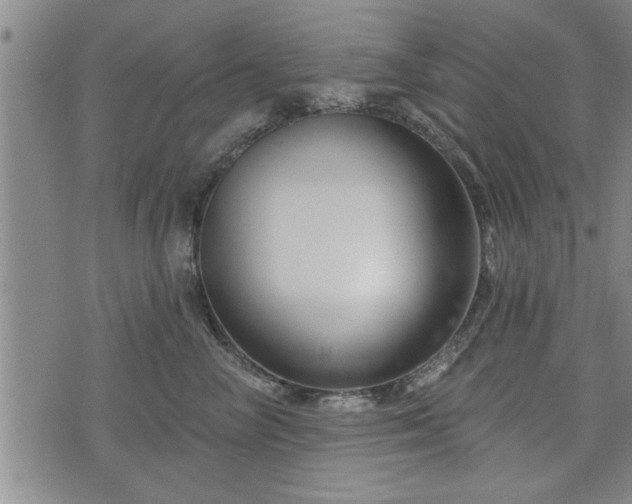 X0000076440714200610161246
