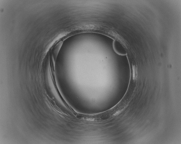 X0000076440723200610161245