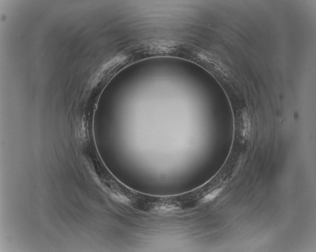 X0000076440743200610161246
