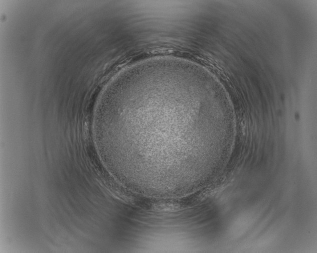 X0000076440745200610161246