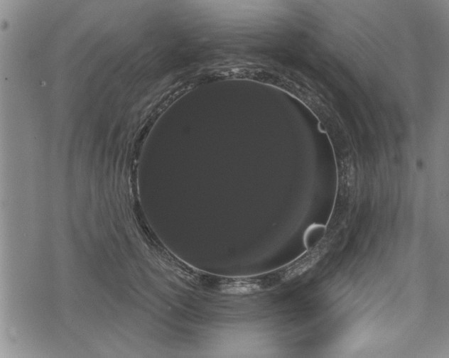 X0000076440754200610161246