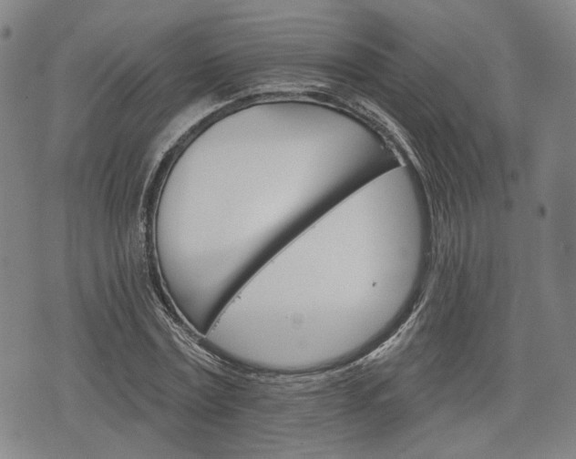 X0000076440779200610161245