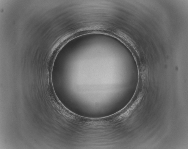 X0000076440781200610161245