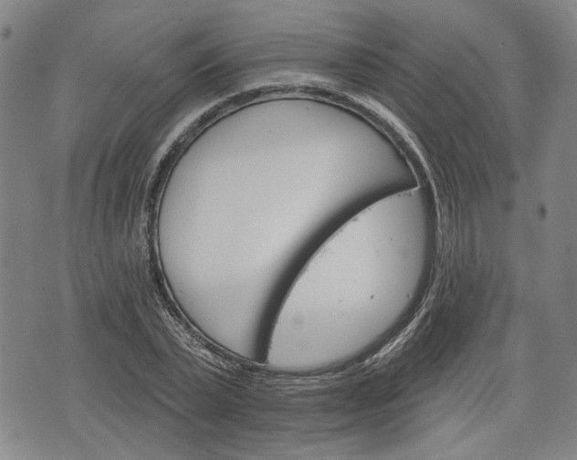 X0000076440783200610161245