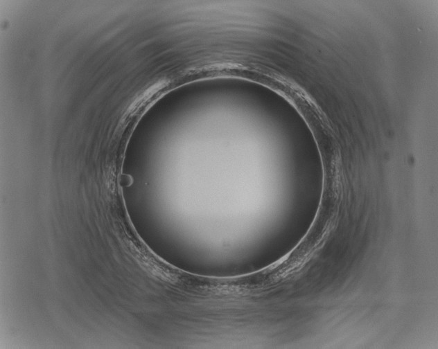 X0000076440785200610161245